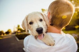 The 5 Best Dogs for Scared & Shy Children