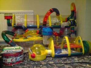 View of An Easy Guide to Setting up a Hamster Cage for Children - Kid Friendly Pets